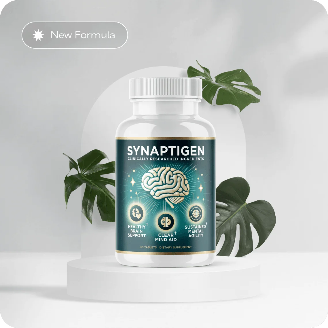 Synaptigen Ingredients